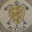 Acedia logo