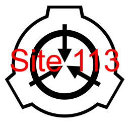 Site 113
