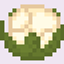 Beetroot to Cauliflower logo