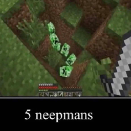 neepmans logo