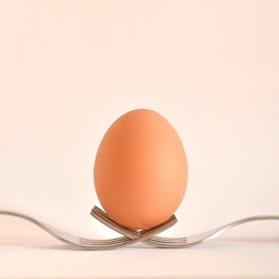 Here, Have An Egg In This Trying Time project image
