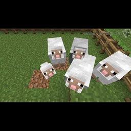 Sheeps drop OP items project image