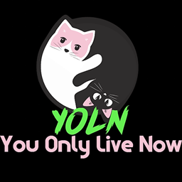 League of Pixels: YOLN/ You Only Live Now project image