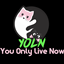 League of Pixels: YOLN/ You Only Live Now logo