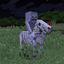 Skeleton Horse Spawn (Legacy Fabric) logo