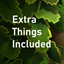 Extra Things Included logo