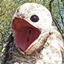 Potoo - Multiplayer Enhanced logo