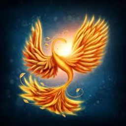 Torchic