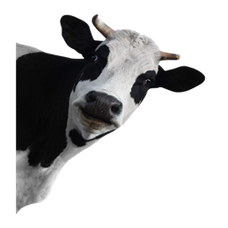 Moo's Evolution logo