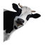 Moo's Evolution logo