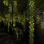 Lush cave Panorama logo