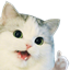Cassandra Pack logo