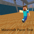 Minecraft Pacer Test