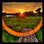 The Naturalist logo