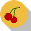 Vanilla With A Cherry On Top logo