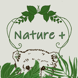 Natures Extreme project image