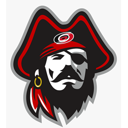 We might be Pirates SMP (Fabric) logo