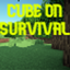 Cube On Survival logo