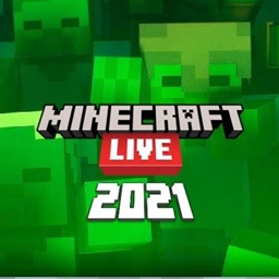 Chaos' Mob Vote 2021 project image