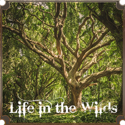 Life in the Wilds logo