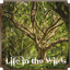 Life in the Wilds logo