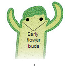 NotLuCraft
