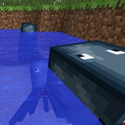 Spawn at Squid (Water Spawn Fix) logo