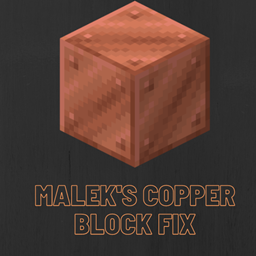 Copper Block Fix project image