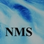 NMS Travel and Realms logo