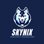 Skynix modpacks logo