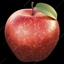 Jacks Mod logo
