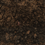 Edible soil! logo