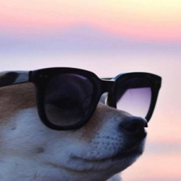 Doge's Dumb Pack logo