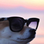 Doge's Dumb Pack logo