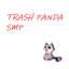 The Trash Panda SMP logo