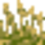 Wild Foods logo