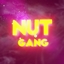 NutGang Modpack logo