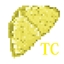 TlayudaCraft! logo