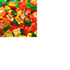 thatmodpack logo