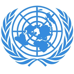 Nations Evolved logo