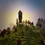 PixelmonSpe logo