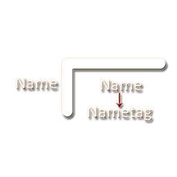 Carry the Nametag project avatar
