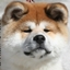 Sage'ss Modpack logo