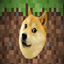 project doge logo