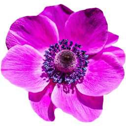 Botanical: Garden of Glass logo