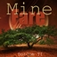 MineFare logo