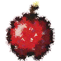 Endless apple project image