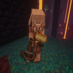 Amazing Pack 2 logo
