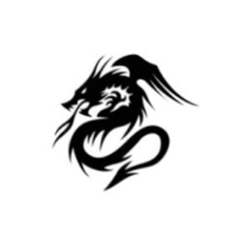 DragonMagic logo
