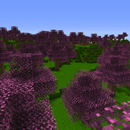 Cherry Blossom Forest logo